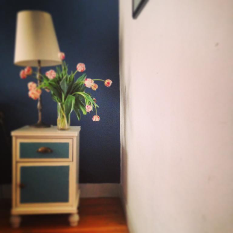 The Blue Sheep Bed & Breakfast アムステルダム 部屋 写真